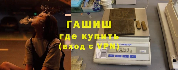 прущие грибы Алзамай