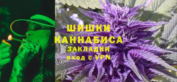 прущие грибы Алзамай