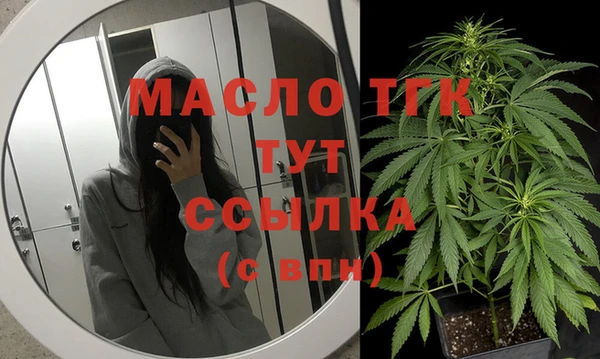 СК Алексин